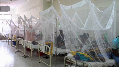 बंगलादेशमा डेंगुका बिरामीको संख्या ५० हजार नाघ्यो, २६४ जनाको मृत्यु