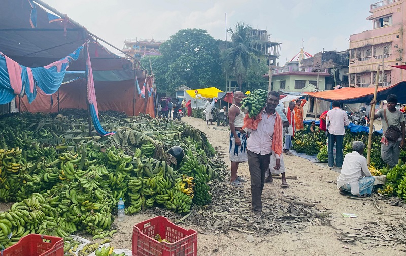 छठ पर्वका लागि भारतबाट ५० लाख रुपैयाँको केरा आयात