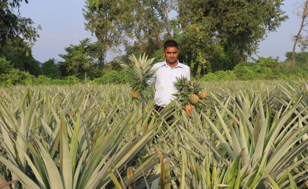भुइँकटहर खेतीबाट वर्षमा १५ लाख कमाउँदै भूपु प्रहरी विष्ट