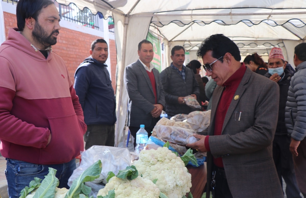 विषादीरहित सात केजीको काउली उत्पादन