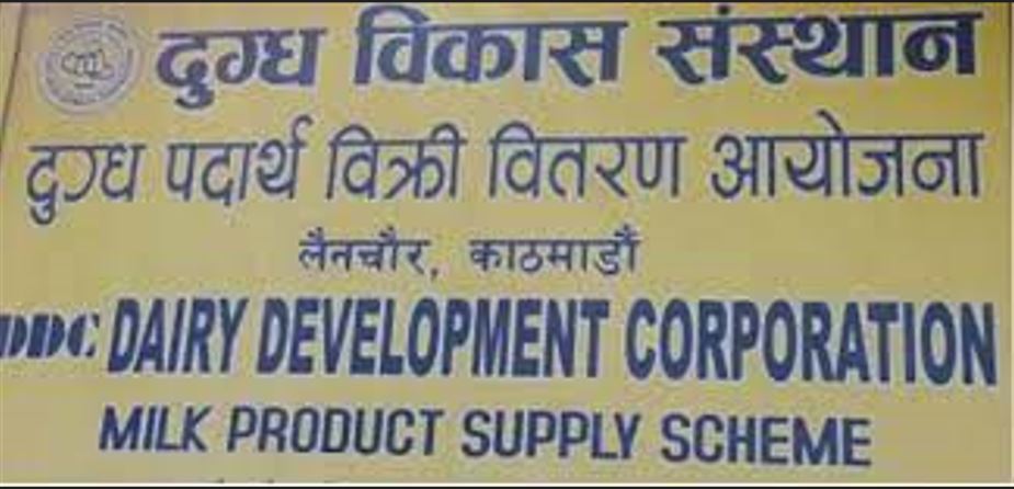 दुग्ध विकास संस्थानले तिर्यो ३१ वर्षको सम्पत्ति कर