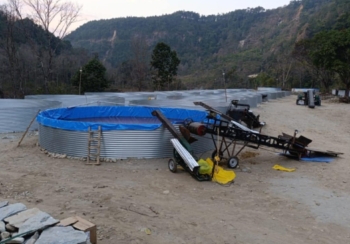 पर्वतमा चुत्रो प्रशोधन उद्योग सञ्चालन