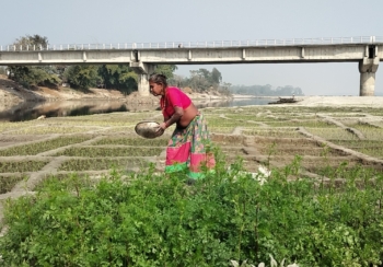 बगर खेतीले फेरिँदै फाँटाका किसानको जीवन