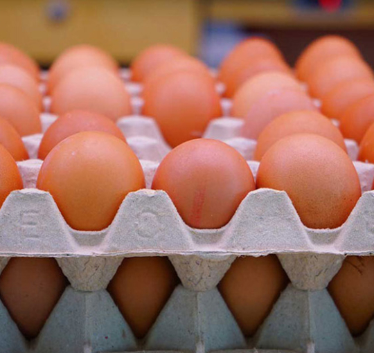 बजारमा अन्डाको भाउ घट्यो, एक्सएल अन्डा प्रतिक्रेट ३ सय ९० मात्र